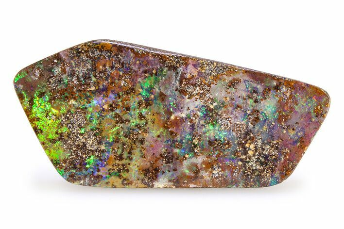 Flashy Polished Boulder Opal Specimen - Queensland, Australia #383705